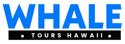 Whale Tours Hawaii